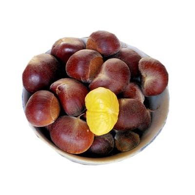 China 1Kg Size Fresh Big Crop Fresh Chestnut New for sale