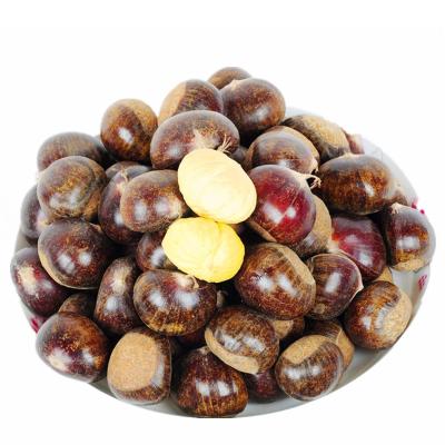 China Tianjin Fresh Organic Sweet Chestnuts for sale