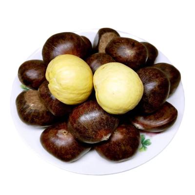 China Hebei kuancheng fresh high quality chestnut for sale