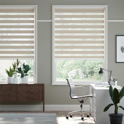 China Top Selling Minimalist Indoor Zebra Roller Shades Cordless Electric Roller Blind Blackout Shades For Window for sale