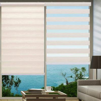 China Top Selling Minimalist Indoor Zebra Roller Shades Cordless Double Layer Zebra Roller Blind Zebra Fabric For Roller Blinds for sale