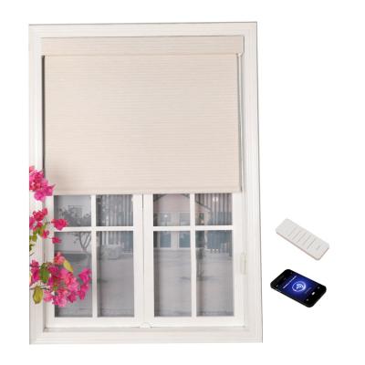 China Minimalist Indoor Motorized Electric Remote Control 100 Blackout Automatic Window Shade Roller Blind Sun Plain Customize French for sale