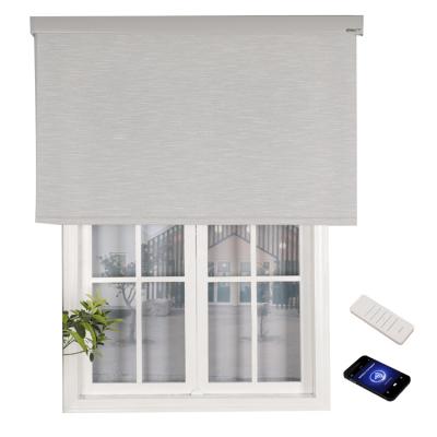 China 100 Blackout Electric Remote Control Automatic Plain Sun Minimalist Indoor Motorized Window Shade Roller Shade Patio Door for sale