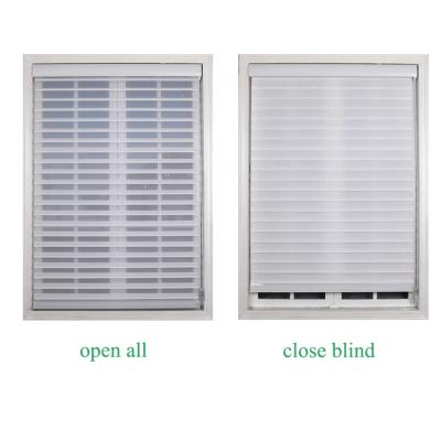 China Minimalist Shangri-La Sun Blackout Shangri-La Custom Indoor Blind Roller Shade For Window for sale