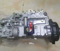 China 6BG1 Fuel Injection Pump 101605-0090 101602-8993 898175-9510 8-98175951-0 for sale