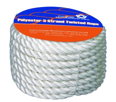 China High Tensile 3 Strand Twisted Polyester PET Rope Apply To Marine / Industry / Crafts for sale