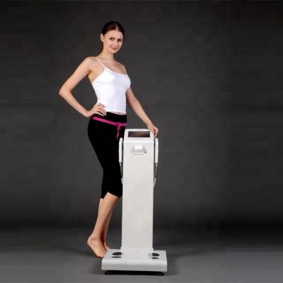 China Hot Selling Portable Fitness Center Gyms Bodivis With Printer Body Composition Analyzer for sale