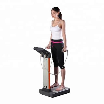 China Fitness Center Gyms Beauty Center Machines Full Touch Screen Multi Frequency Body Composition Analyzer for sale