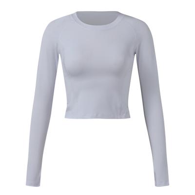 China Newcomer Yoga Long Sleeve Breathable Slim Tight Casual Gym Fitness Running Sport Cropped Top Shirt for sale