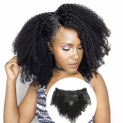 China Factory Wholesale Afro Kinky Curly Curly Clip In Hair Wigs 100% Human Hair Straight for sale