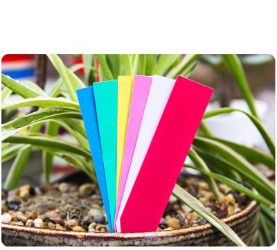 China Light Weight 600 PCS 6 Colors Plant Labels, PVC Plant Tags For Garden Plant Adjustable Waterproof Tags for sale