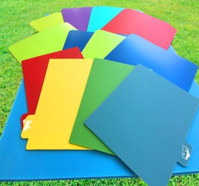 China Factory direct non-toxic hot sake colored frosted 0.4mm polypropylene plastic sheet a4 pp plastic sheet for file bag for sale