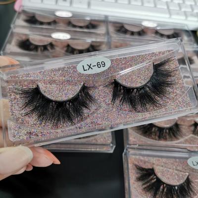 China Low Price LX Series Fluffy Mink Lashes Natural Mink Lashes Kit With Custom Label for sale