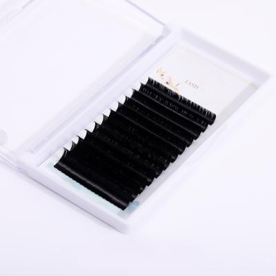 China Natural Extension 16rows/case 8~15mm L/L+/LC/LD/LU(M) Premium Natural /Soft Mix Eyelash Individual Makeup for sale