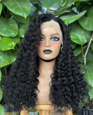 China Swiss Lace Health Care Supplies Extensions Wig Hair HD Lace Front Wig 100% Virgin Hair Full Lace Wig For Black Women Vendors for sale