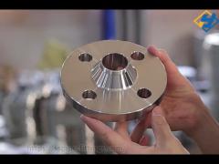 Stainless Steel Weld neck flange