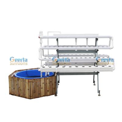 China Hydroponic Farms Aquaponics Automatic Fish And Vegetable Growing System For Greenhouse for sale