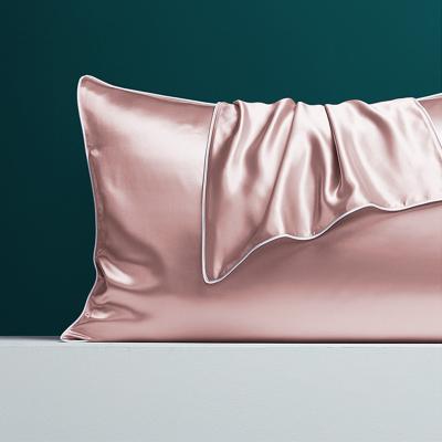 China Hot sale non-toxic luxury mulbery silk pillow case 22MM 51cm*66Cm 2PCS 100%Pure for sale