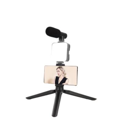 China AY49C mini portable microphone tik tok vlogging youtube fill selfie light up vlogger kit with tripod stand for sale