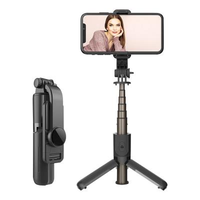 China Leadwin L10 Mini Adjustable Color Temperature Filling Folding Selfie Stick with Tripod for Camera Phone for sale