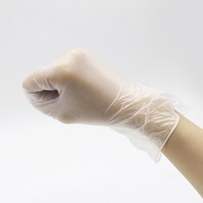 China Chemical Resistant / Flexible / Water Proof / Oil Resistant Transparent Vinyl Examination Gloves Powder Free for sale