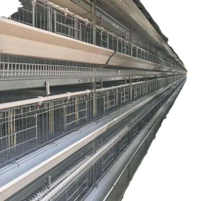 China Poultry Field China Best Price Poultry Farm H Row Type Layer Cage For Sale for sale