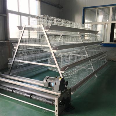 China Professional Poultry Field Farm Cage Layer A Poultry Cages Layer Quality Products for sale