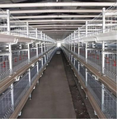 China Poultry Field Steel Structure Chicken Cage Chicken Egg Farm Layer Chicken Farm for sale