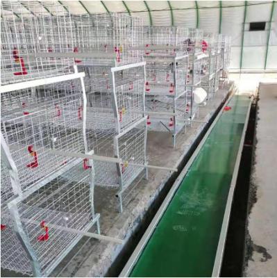 China Poultry Field Design Poultry Farming Equipment Egg Layer Battery Chicken Cage for sale