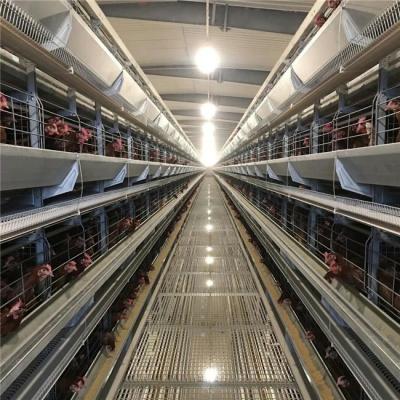 China New Design Professional Chicken Field Poultry Farm China H Type Layer Cages Manufacturers Sale for sale