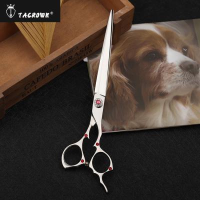 China Sustainable Pet Grooming Scissors and Professional Wholesale Dog Hair Grooming Straight Scissors for sale