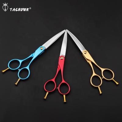 China TACROWN 6.0Grooming Scissors Sustainable Pet Cutting Scissors High Quality Dog Hair Scissors for sale