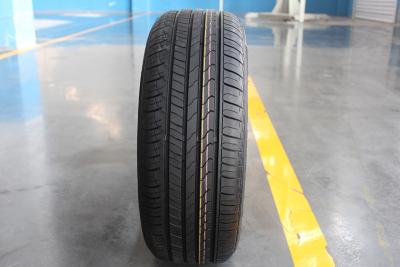 Κίνα 155/55R14 όλοι καρυκεύουν τις ακτινωτές ρόδες προς πώληση