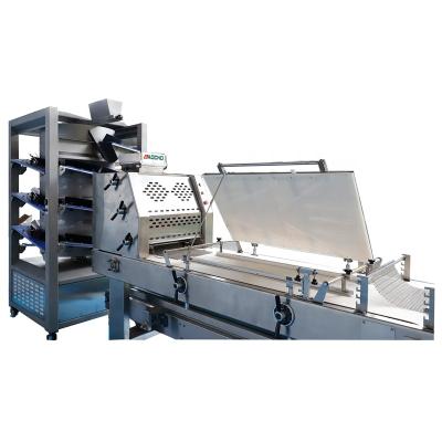 China High Accuracy Automatic Toast Bread Making Equipment Bakery Bread Production Line zu verkaufen