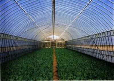 China 1-11m LDPE Plastic Greenhouse Film For Vegetables And Fruits Planting for sale