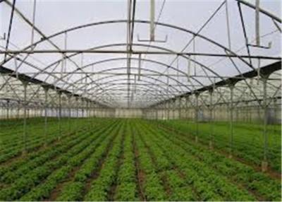 China Anti Virus Plastic Greenhouse Film , Greenhouse Polycarbonate Rolls With Impact Resistance for sale