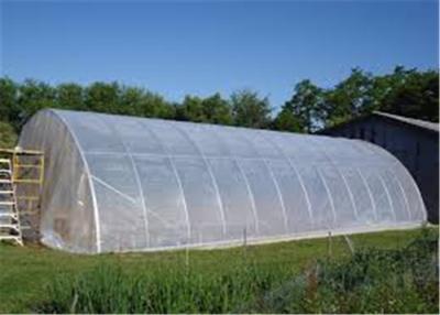 China Clear Plastic Sheet Roll Anti Fog / Mulch Jumbo Rolling Plastic Cover For Greenhouse for sale