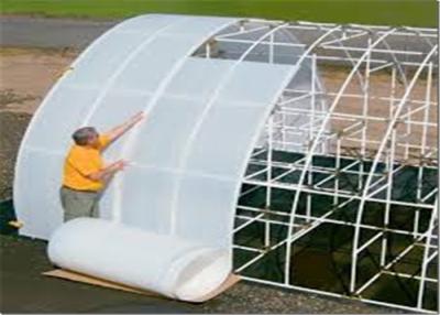 China PE Plastic Greenhouse Film White Transparent Anti - Mildew Inhibits Insect Propagation for sale