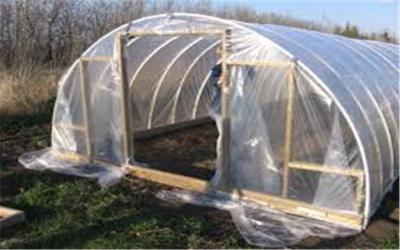 China Moisture Proof Plastic Greenhouse Film Rain Protection , 0.06mm-0.14mm Thickness for sale