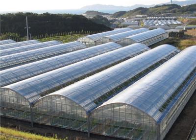 China Poly Plastic Greenhouse Film Moisture Proof , Blow Molding Processing Type for sale