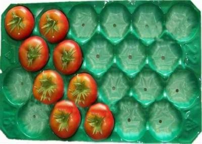 China Convenient Plastic Fruit Tray , Tomato Trays Packaging Professional Mould Design for sale