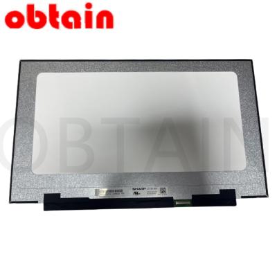 China 17.3 Inch 1920*1080 300Hz FHD LCD LQ173M1JW04 Laptop Screen Replacement 17.3 for sale