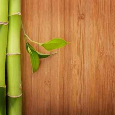 China Modern Carbonized Standard Bamboo Timber Floor Wall Panel Solid Bamboo Flooring Timber Flooring for sale