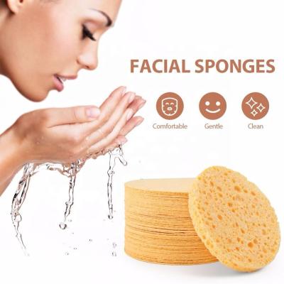 China Wholesale Biodegradable Biodegradable Facial Wood Pulp Organic Dehydrated Cleansing Compressed Biodegradable Cellulose Sponge for sale