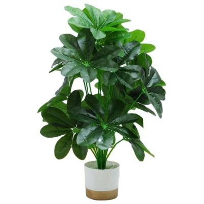 China Contemporary Green Office Home Decoration, Potted Green Vitality Artificial Plants Many Types Of Artificial Plastic Plants To Choose From for sale