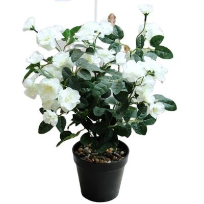 China Contemporary artificial small potted green plants are suitable for home offices and bathroom decoration artificial rose flower potted for sale