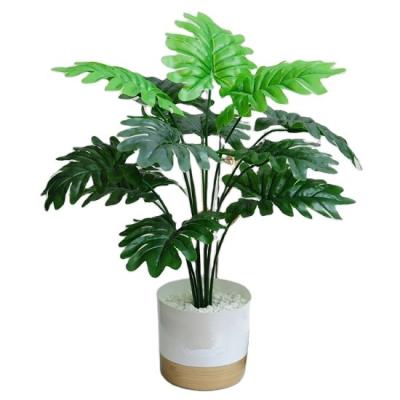 China Contemporary wholesale real touch decoration artificial monstera tree plant for indoor and outdoor home decoration for sale