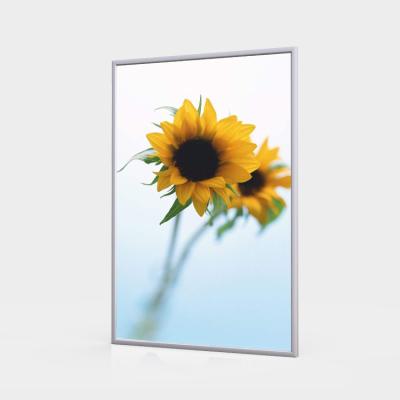 China Wall Mounted Slim Shopping Mall Advertising AF80 Light Box With Backlit Aluminum A3 Frame for sale