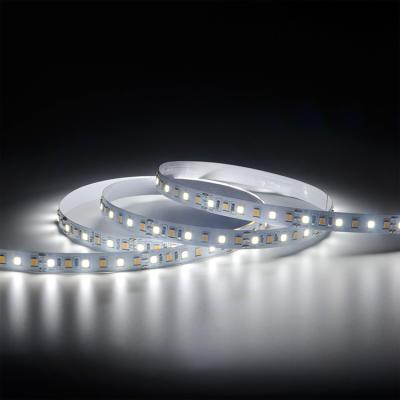 China Desktop White Color S Type Flexible Led Strip Light Led Strip White Without Led Module Led Lens for sale