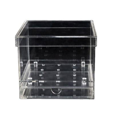 China 2022 China Newest Transparent Acrylic Plexiglass Wholesale Breathable Acrylic Flower Box for sale